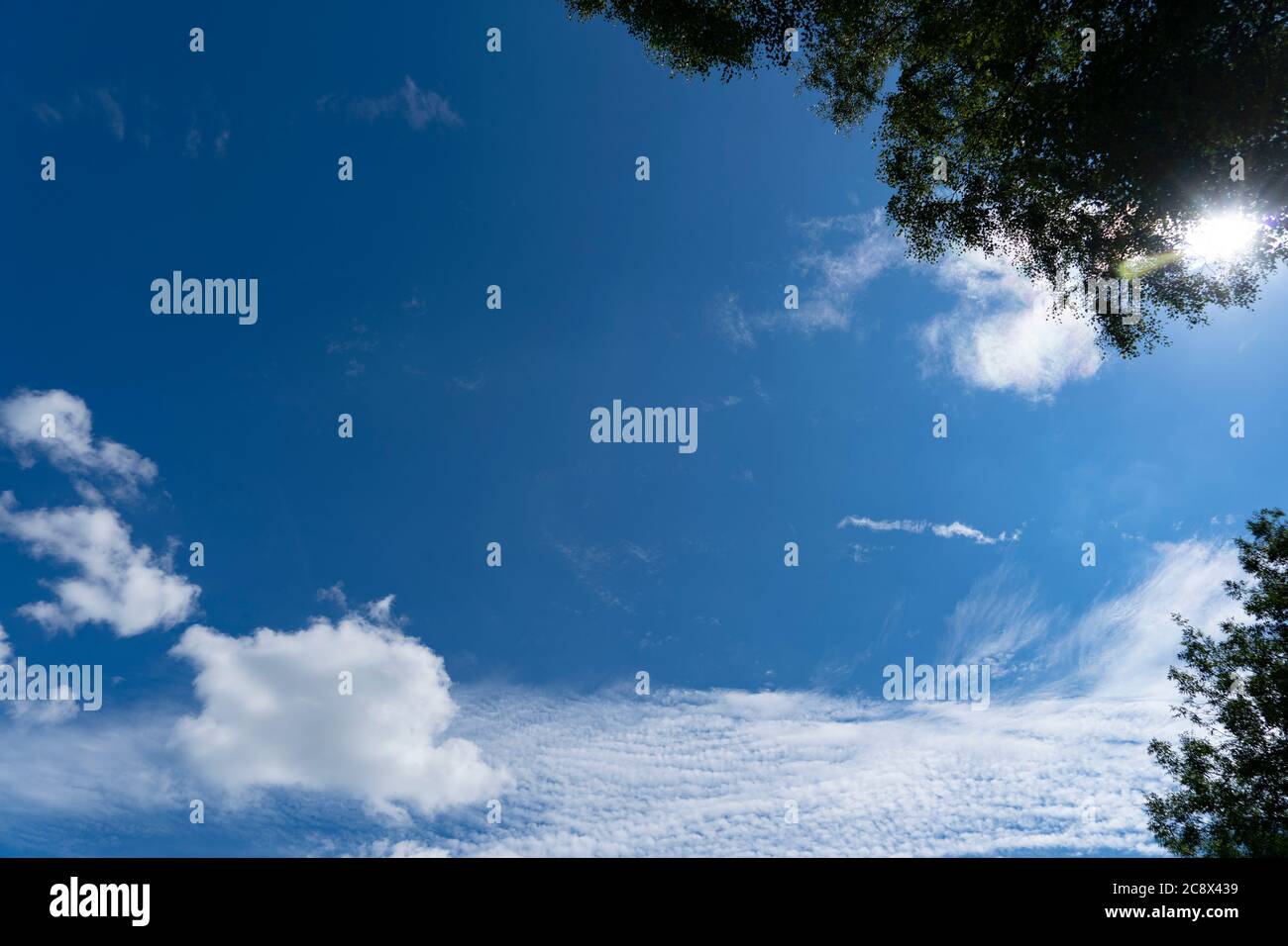 Cielo di estate Foto Stock