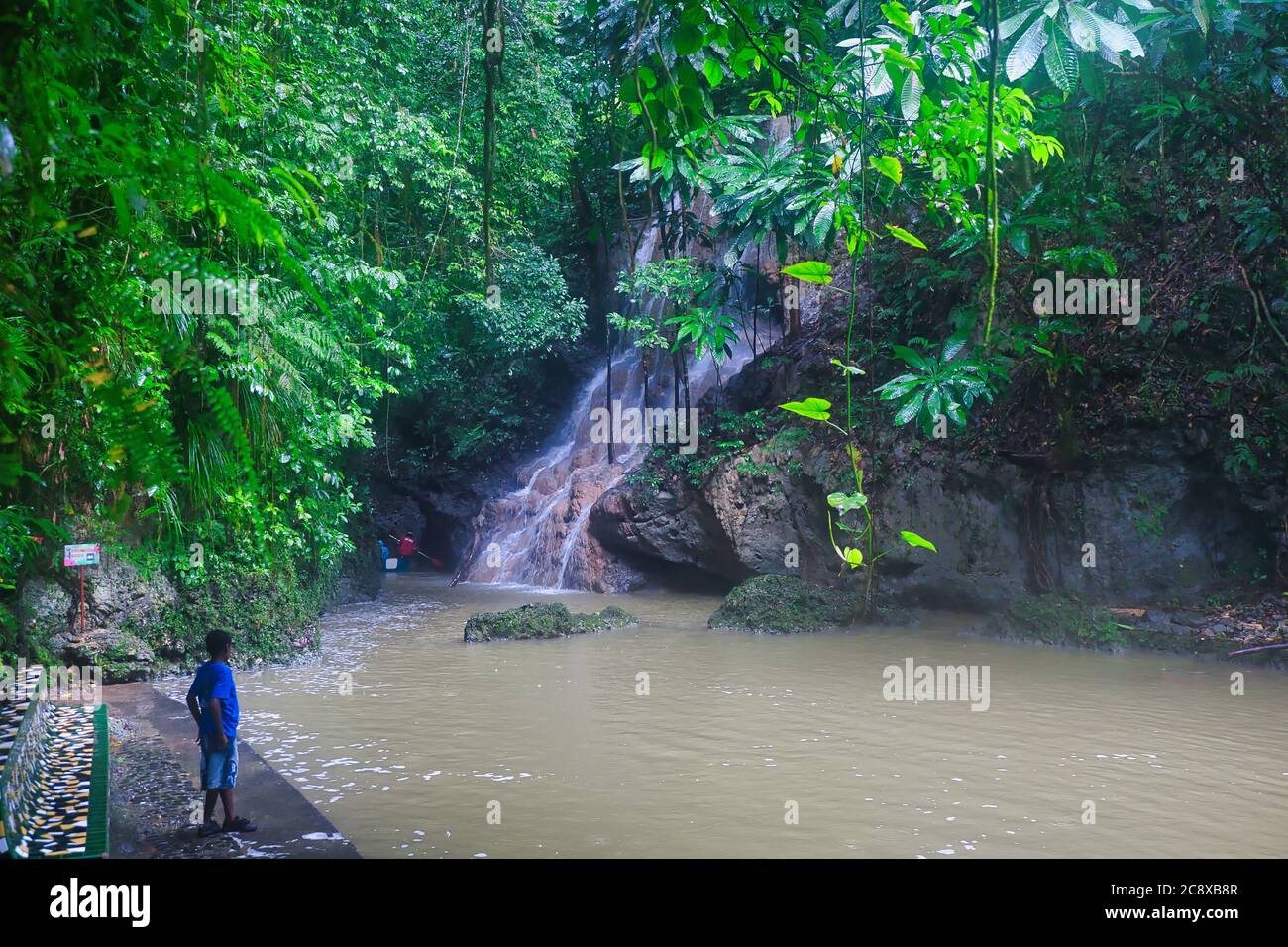 Bella scena di una cascata che si tuffa sulle rocce con un piccolo lago ai piedi delle cascate. Un ragazzino guarda sopra. In Giamaica, i Caraibi Foto Stock