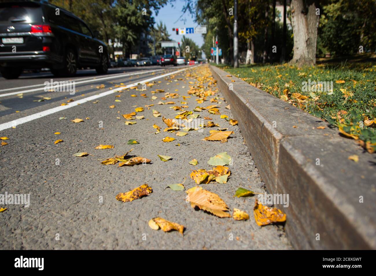 Foglie gialle caduti su asfalto. Golden autunnale Street. Ultimo giorno di sole tempo. Bella sicurezza confortevole vita in città. Foto Stock
