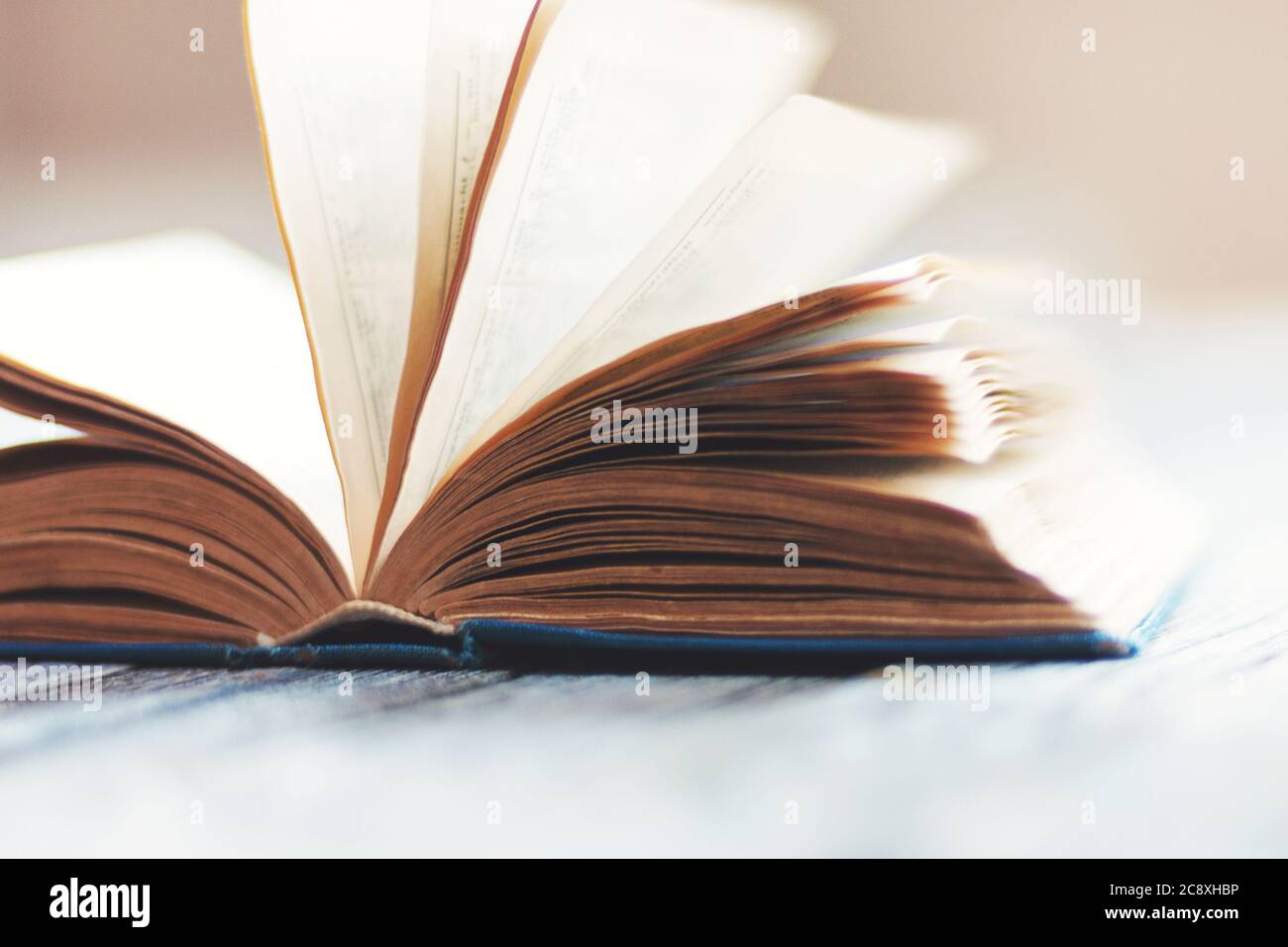 vecchio libro con le pagine aperte in stile retrò Foto Stock