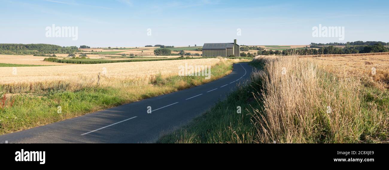 tipico paesaggio agricolo nel nord della francia sotto il cielo blu Foto Stock