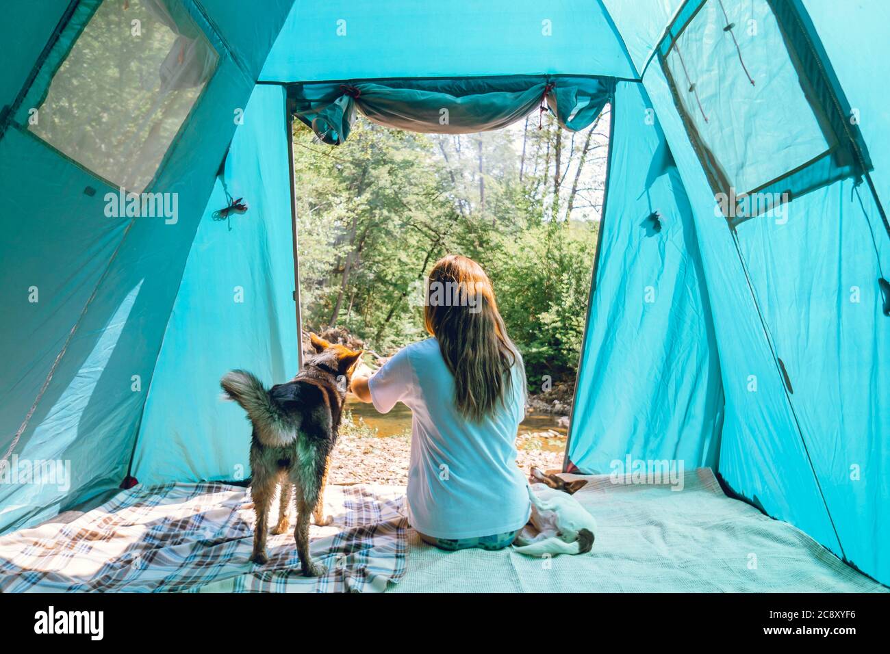 Donna turista in campeggio in una foresta con i suoi cani insieme in un viaggio natura, concetto di amicizia, attività all'aperto, viaggiare con un animale domestico. Foto Stock
