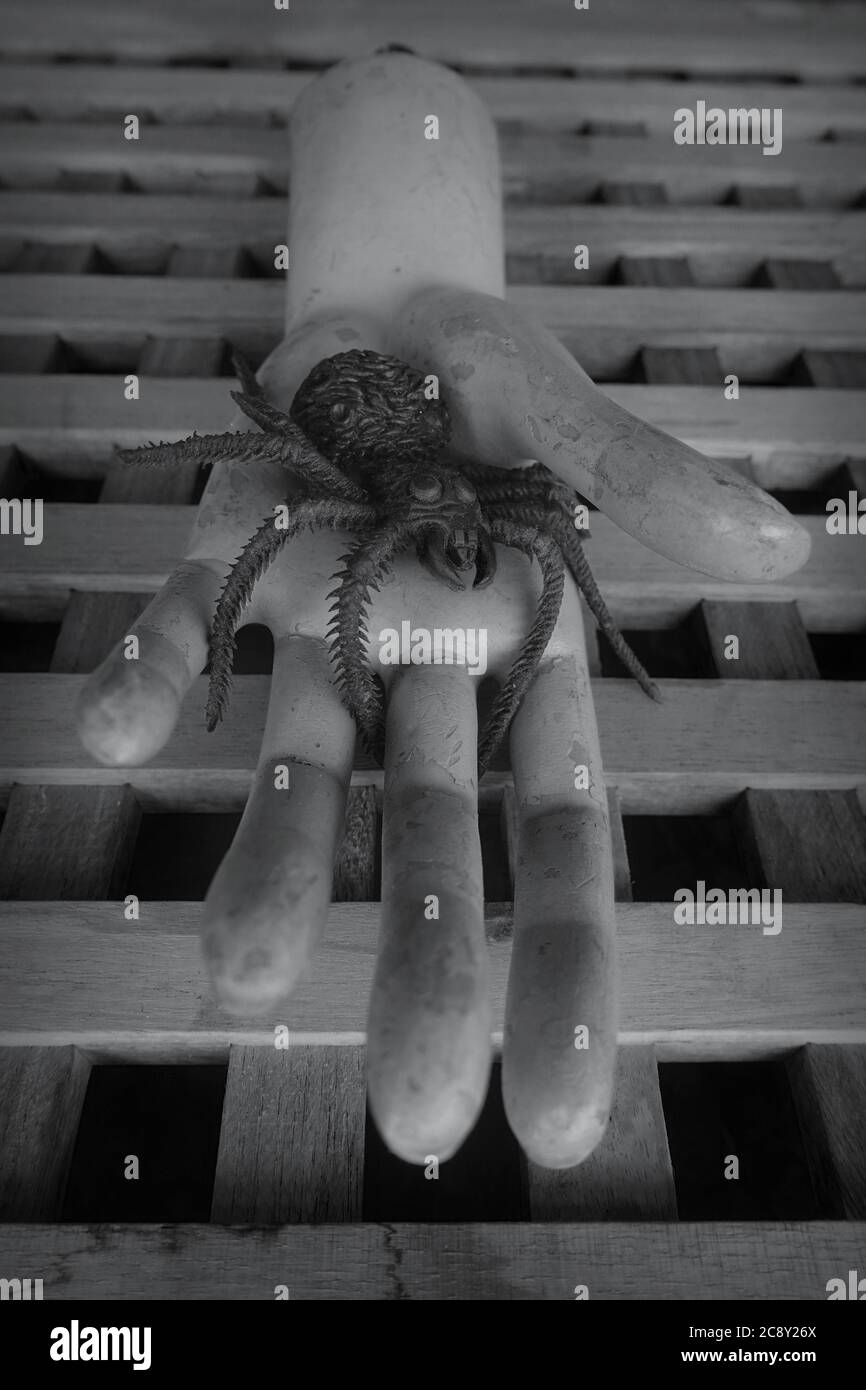 Ragno spaventoso in plastica sulla mano della bambola manichino con le intemperie. Foto da un incubo. Foto Stock