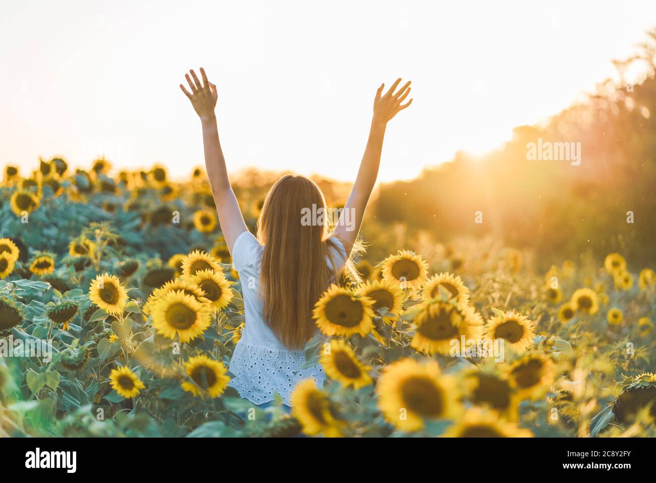 Giovane bella donna sorridente e divertente in un campo di girasole in una bella giornata estiva con le braccia sollevate. Foto Stock