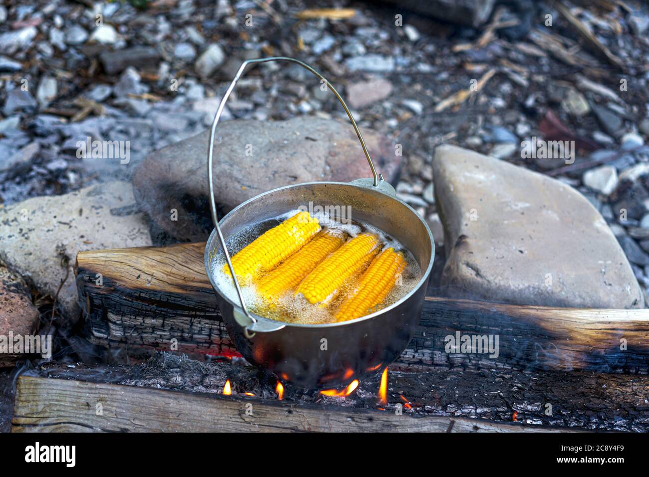 Viaggio, turismo, cucina pic-nic, cucinare in un calderone sul fuoco, bollente pentola con mais al fuoco sul pic-nic. Foto Stock