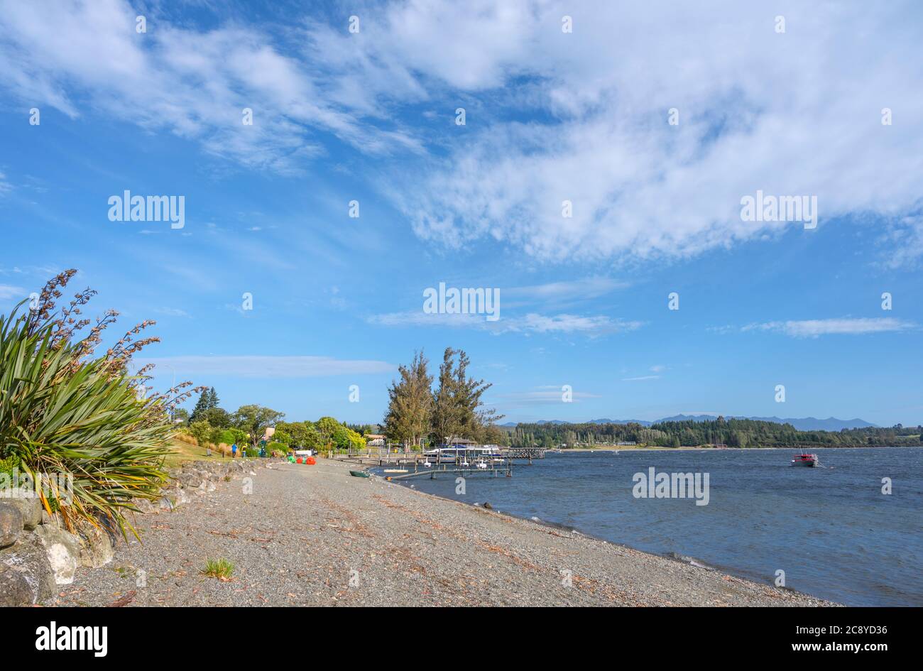 Spiaggia sulle rive del lago te Anau, te Anau, Southland, South Island, Nuova Zelanda Foto Stock