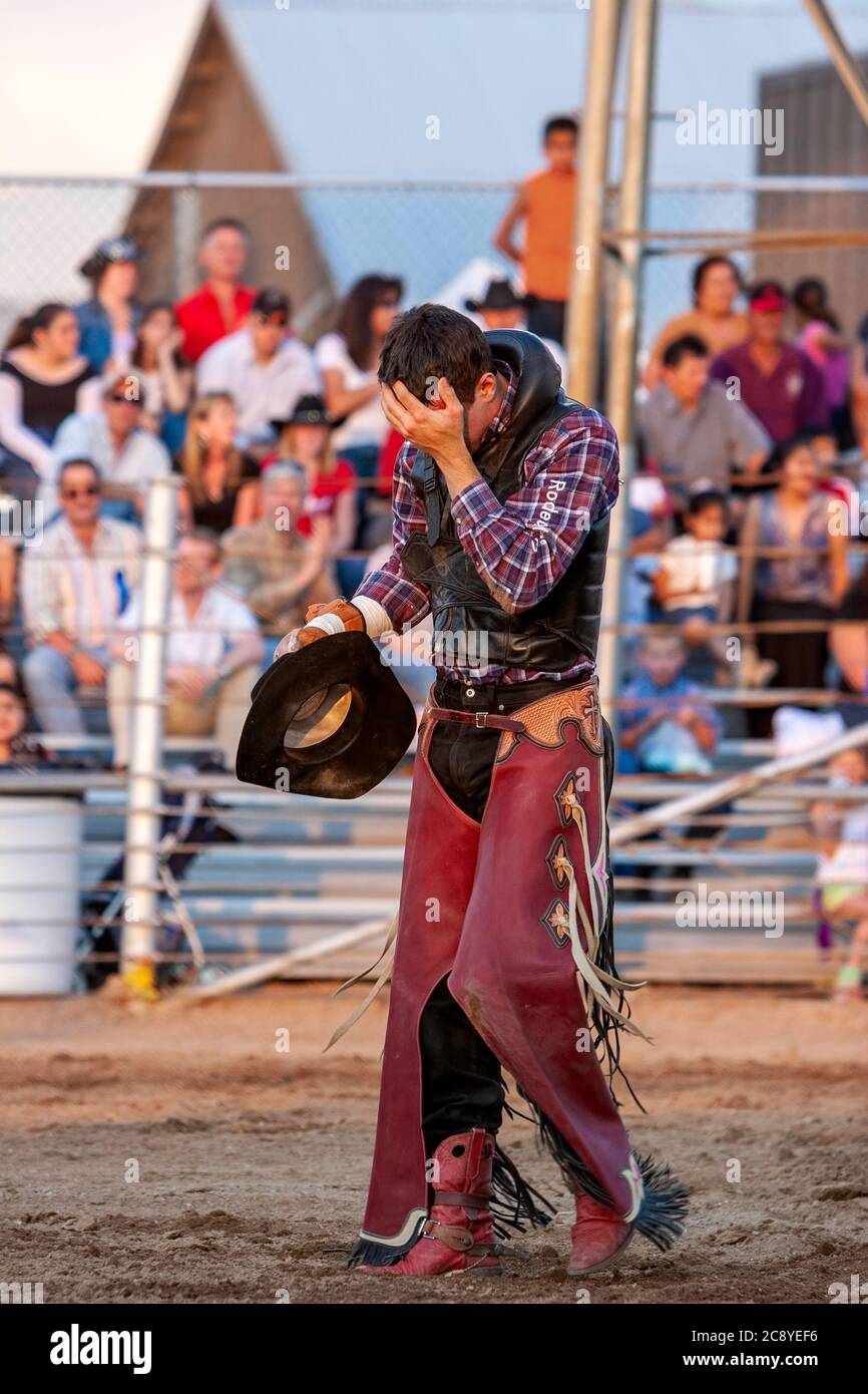 Cowboy scosso dopo il suo giro, Rodeo de Santa Fe, New Mexico USA Foto Stock