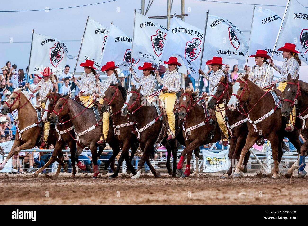Cheyenne Dandies Cowgirl Ride team, Rodeo de Santa Fe, New Mexico USA Foto Stock