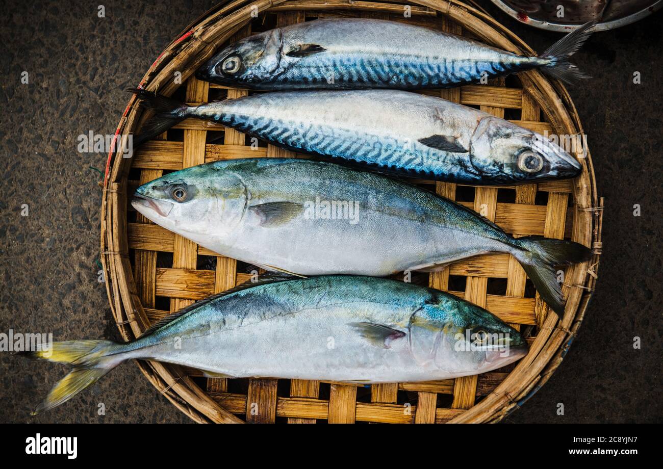 Pesce fresco in un paniere in un mercato del pesce, Vietnam, Sud-est asiatico Foto Stock