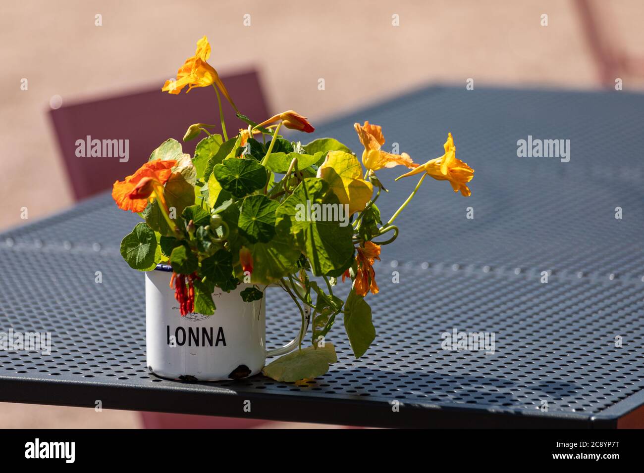 Fiori recisi appassiti in tazza di smalto sul tavolo esterno del ristorante nell'isola di Lonna, Helsinki, Finlandia Foto Stock