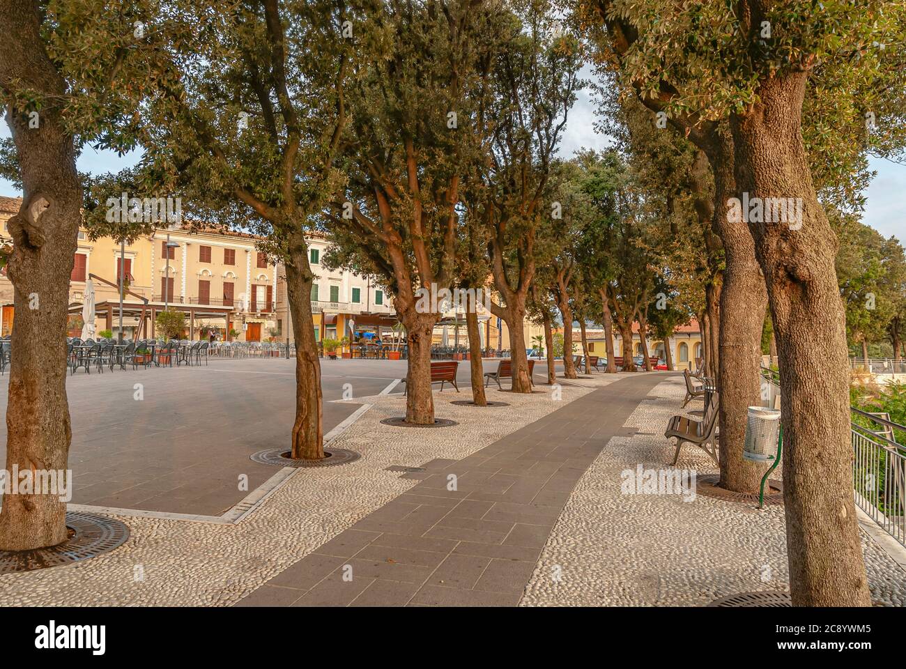 Viale alberato nel centro storico di Sirolo, Marche, Italia Foto Stock