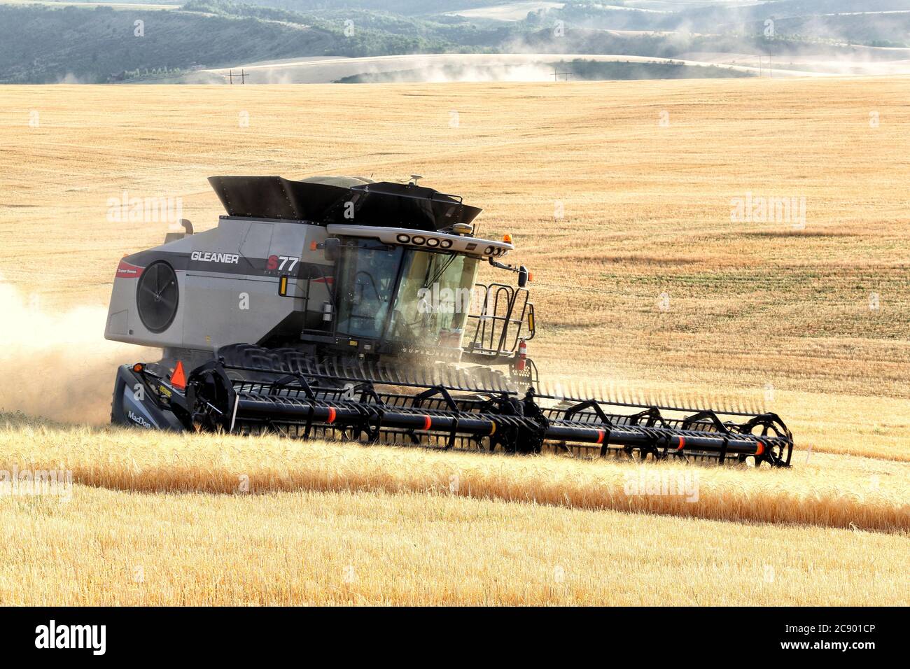 Ririe, Idaho, USA 8 agosto 2016 UNA mietitrebbia agita vibrando mentre raccogliendo grano nei fertili campi agricoli dell'Idaho. Foto Stock