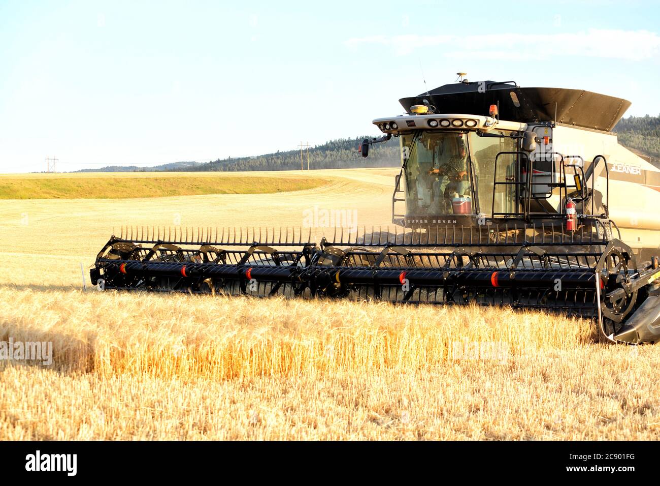 Ririe, Idaho, USA 8 agosto 2016 macchine agricole che raccolgono grano nei fertili campi agricoli dell'Idaho, con la catena montuosa del Teton sullo sfondo. Foto Stock