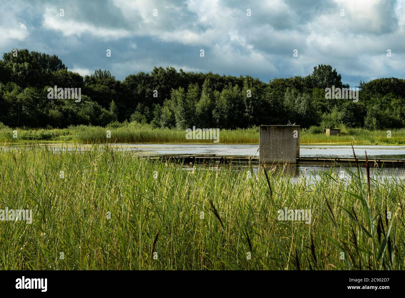 Un bel sentiero che da un villaggio galleggiante conduce al lago dalle paludi. Un villaggio al centro di un lago circondato dal marshlan Foto Stock