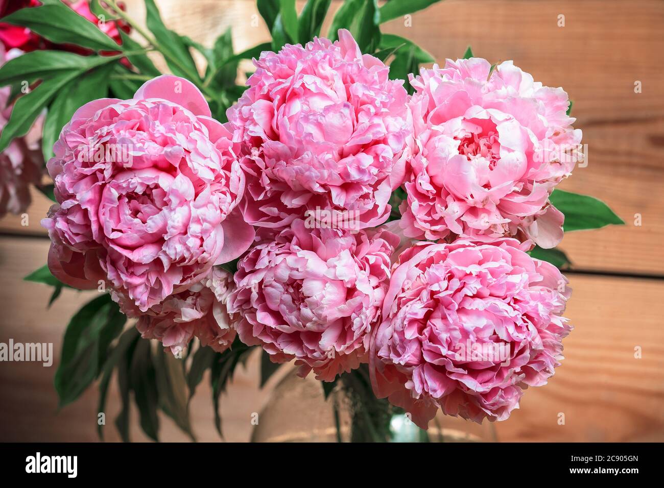 Peonie rosa, bouquet di fiori su sfondo ligneo l'immagine orizzontale Foto  stock - Alamy