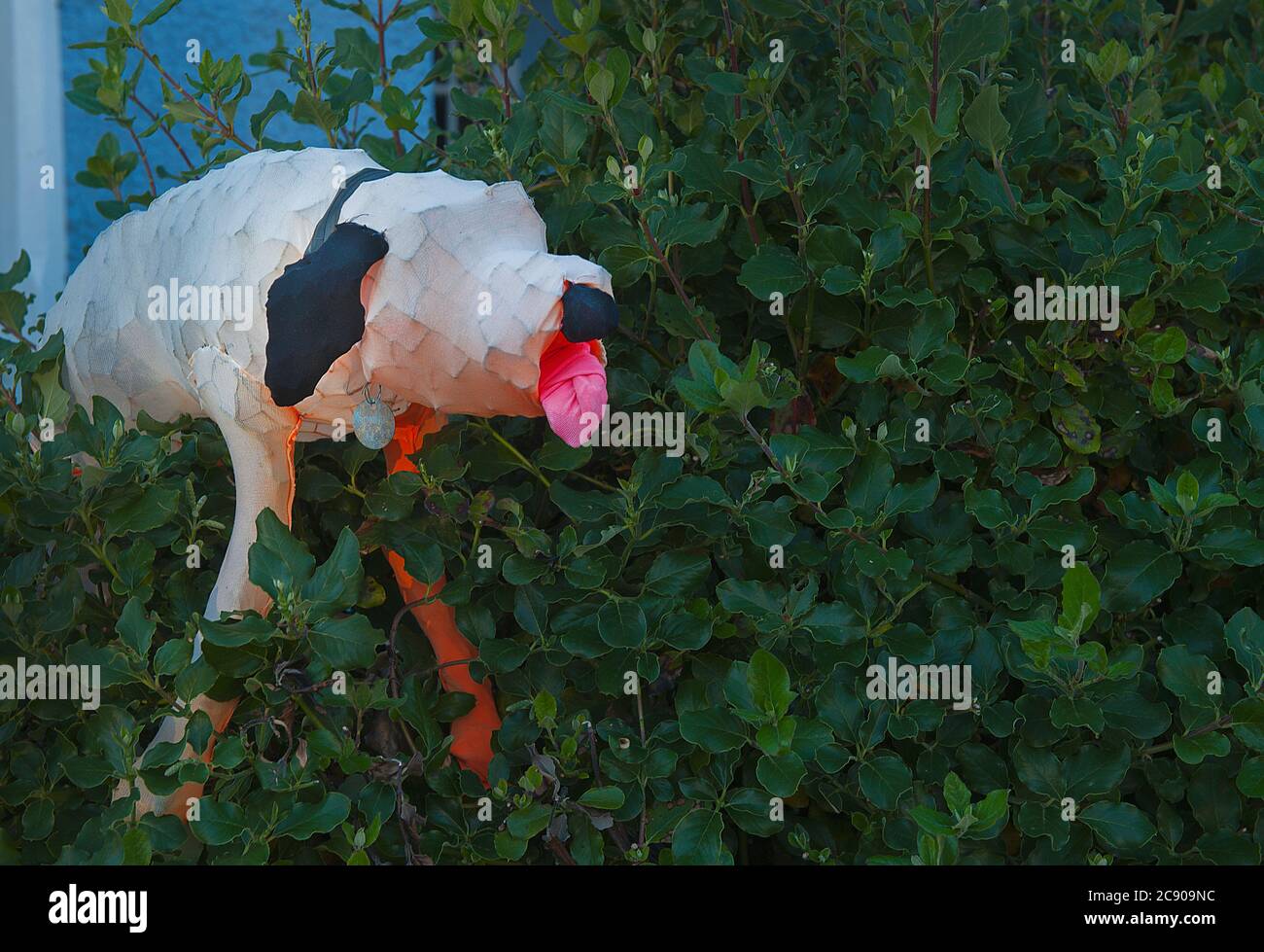 Giocattolo cane fatto di carta e telaio di filo che giace sul bordo Foto Stock