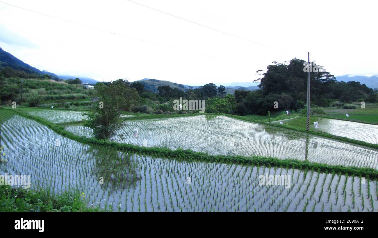 Paesaggio rurale della contea di Taitung a Taiwan Foto Stock