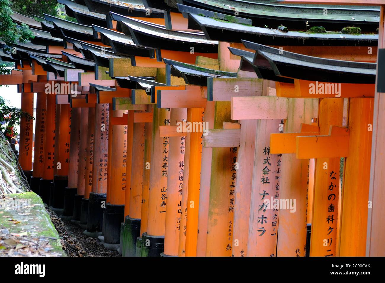 Tempio Inari Nel giardino del tempio fushimi inari taisha immagini e fotografie ...