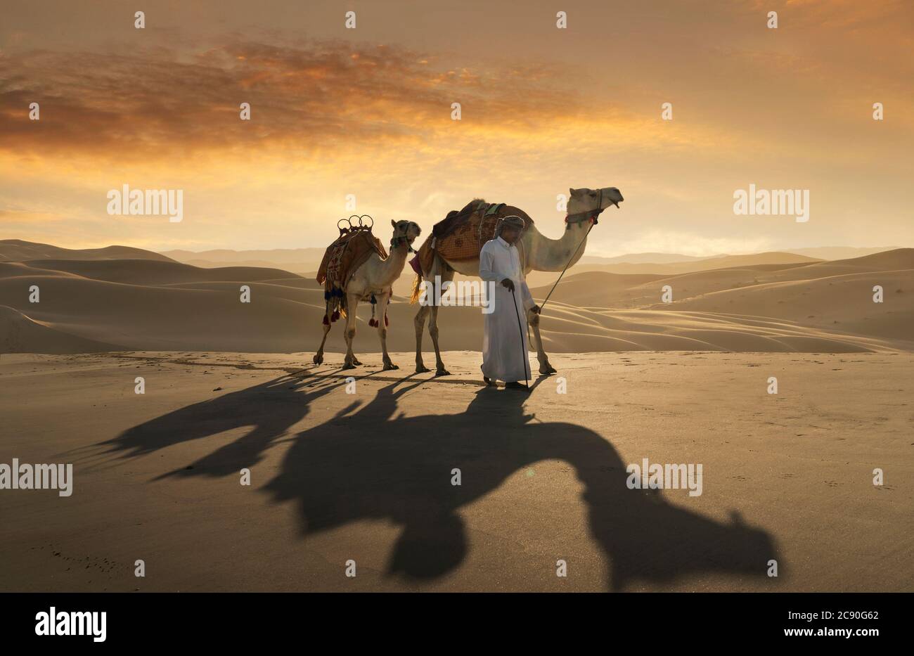 Emirati Arabi Uniti, Dubai, l'uomo leader cammelli nel deserto Foto Stock