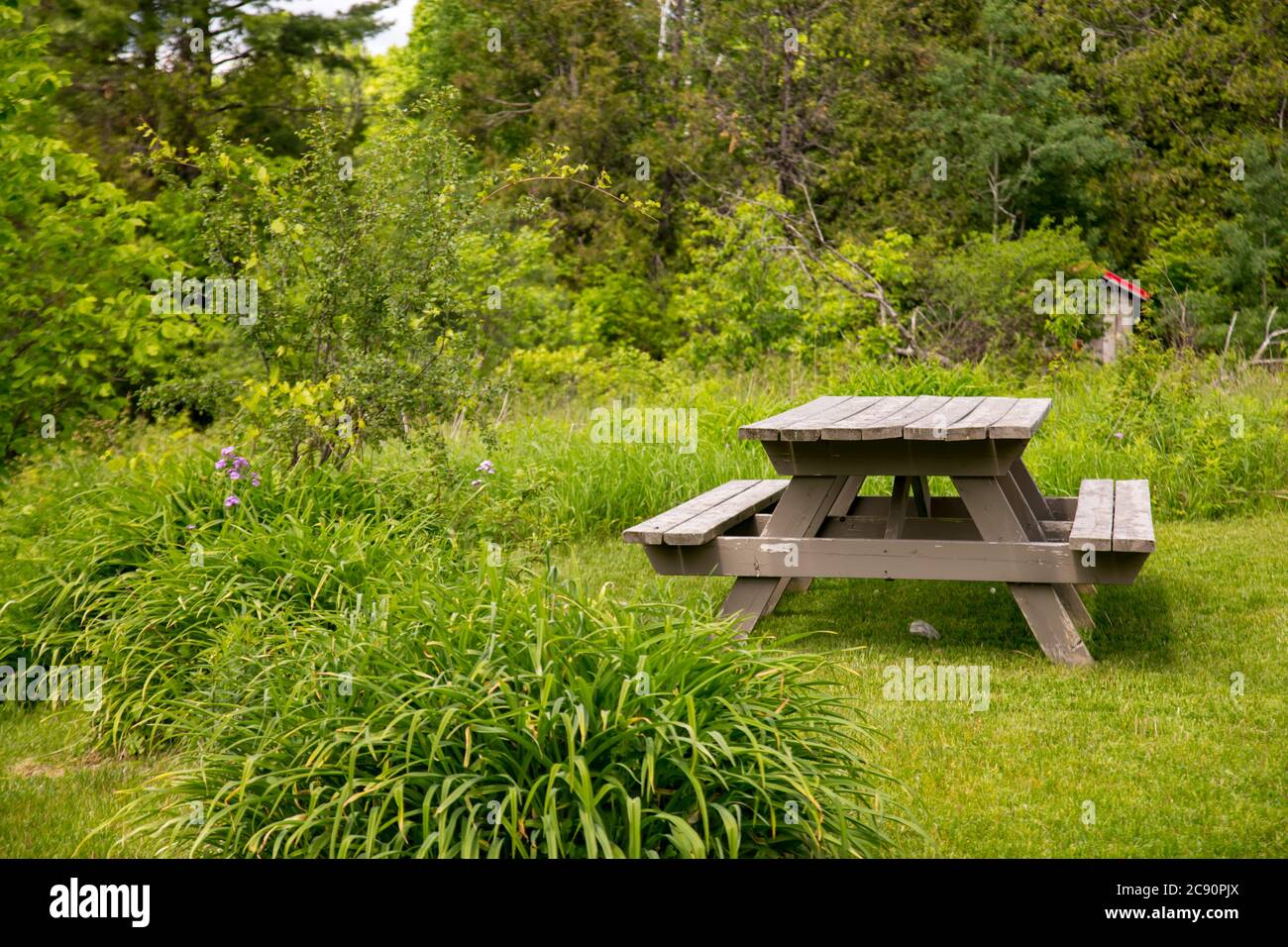 Un tavolo da picnic in legno si trova su un'area di erba tagliata, circondata da un giardino primaverile e da aree boschive con alberi dietro di esso. Foto Stock