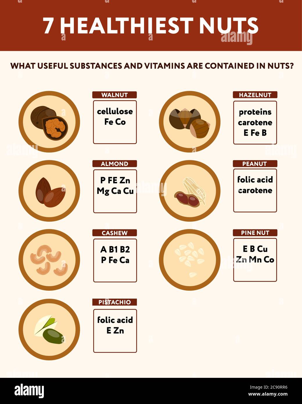 Sette noci più salutari Dietetics poster medico in stile piatto Illustrazione Vettoriale