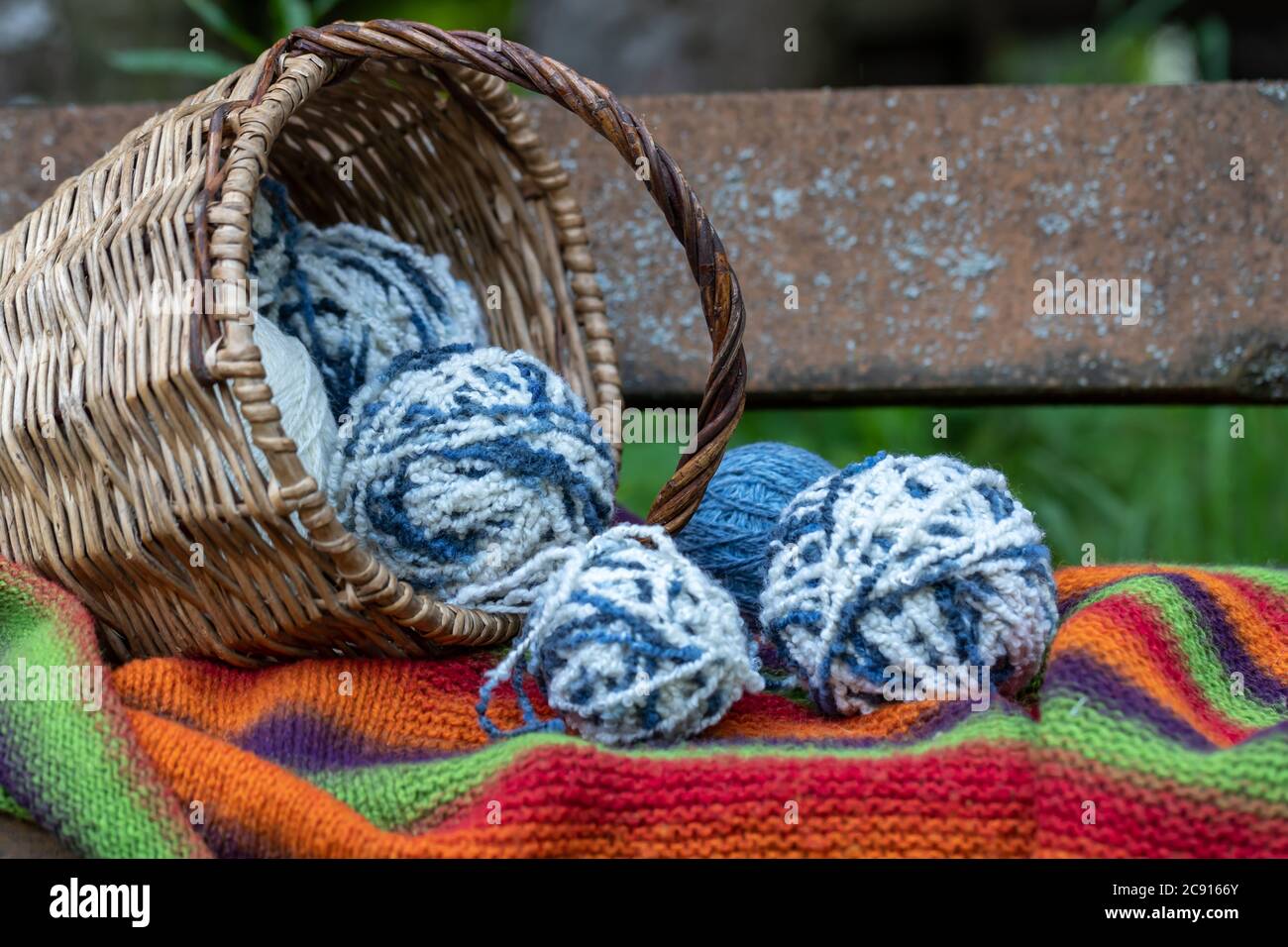 palline di lana blu e bianca in un cesto di vimini su una coperta di maglia multicolore. Sfondo naturale. Poster orizzontale con spazio per la copia. Filato per maglia Foto Stock