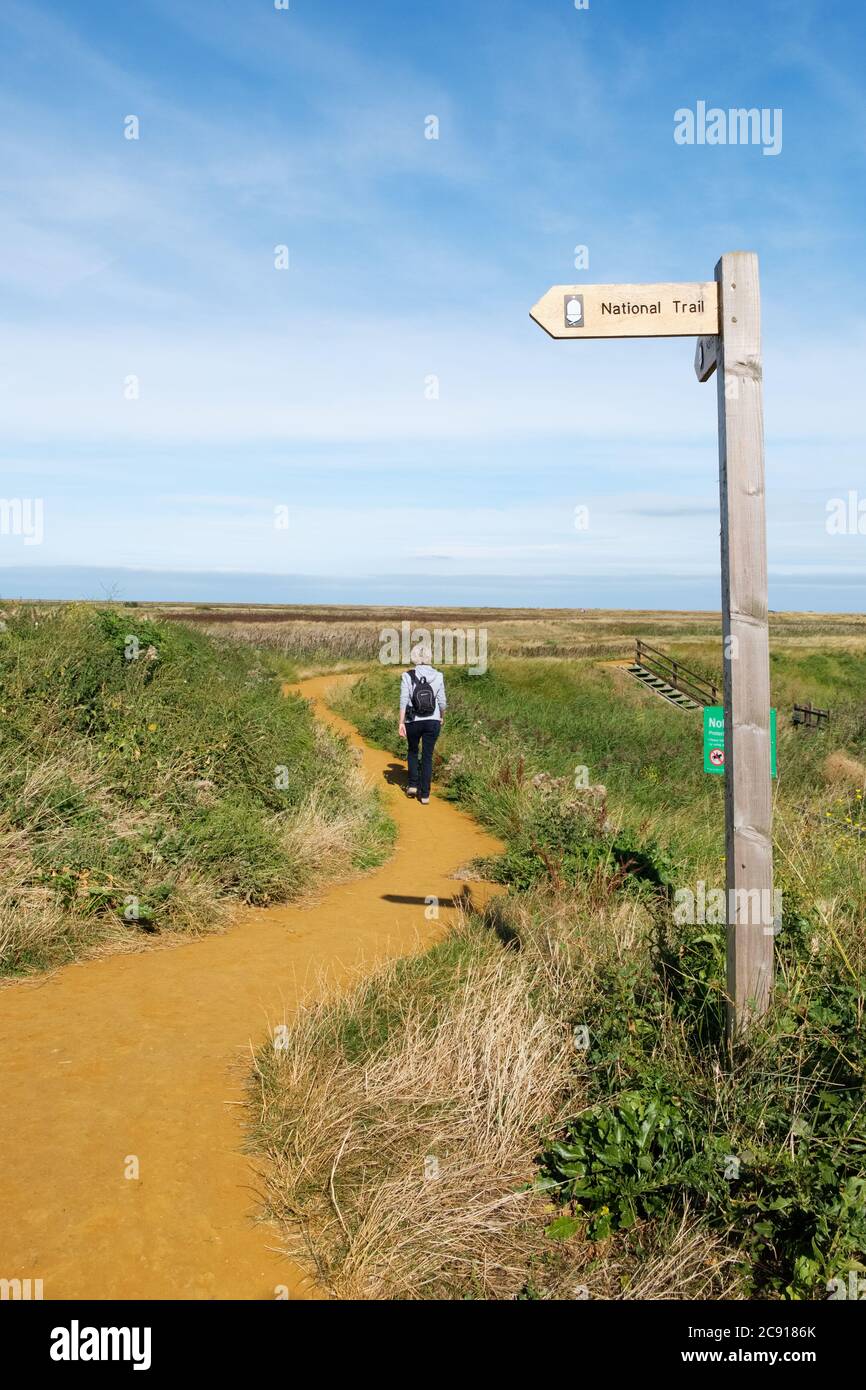 Donna singola che cammina lungo il sentiero della costa di Norfolk National Trail vicino a Cley-next-Sea, North Norfolk Coast, Inghilterra, Regno Unito, GB Foto Stock