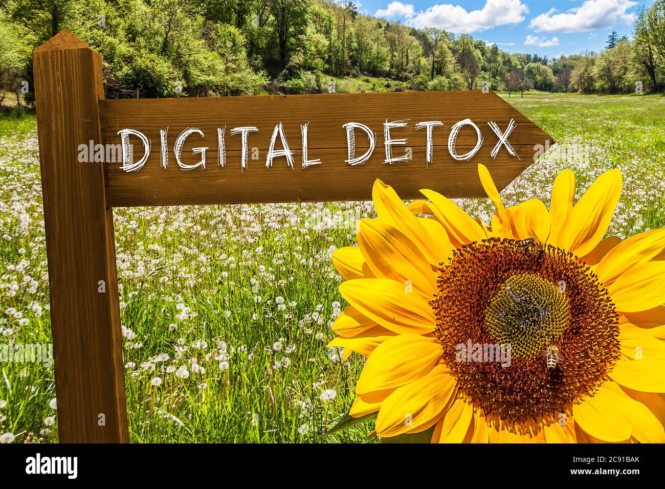 Cartello con le parole Digital Detox davanti a un prato Foto Stock