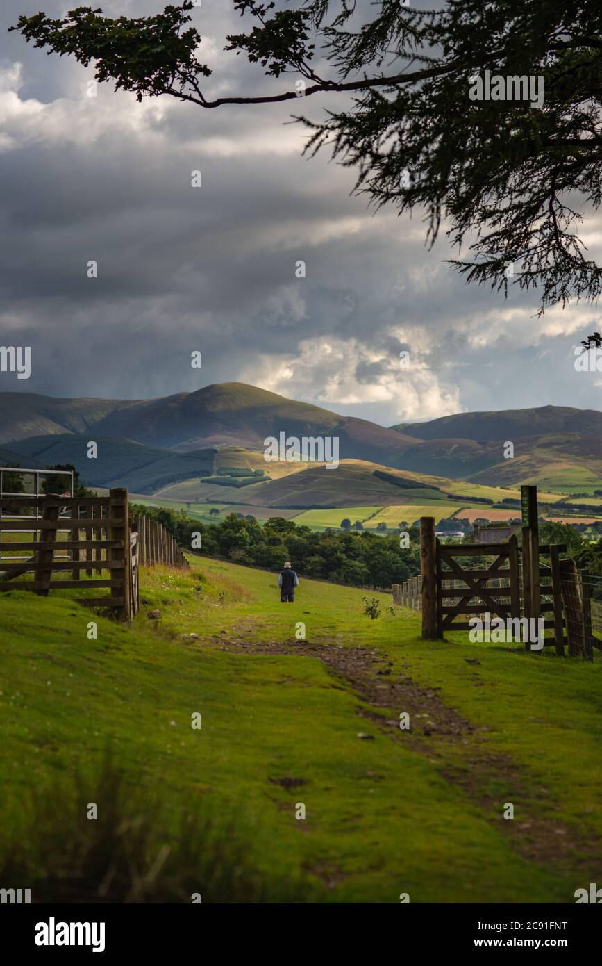 Un Senior fa una passeggiata nelle colline in Scozia Foto Stock