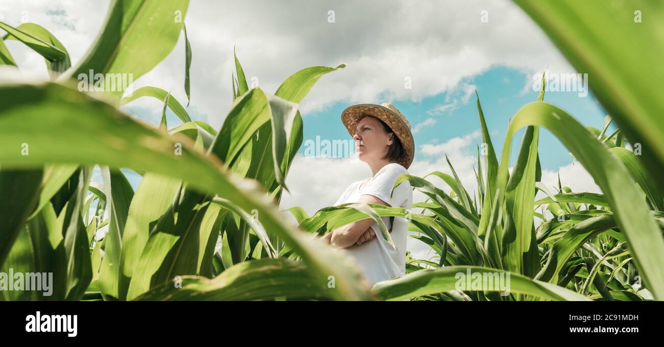 Agricoltore femminile che guarda il campo di mais verde in estate. Agronomo donna con cappello di paglia in piedi in campo di mais. Foto Stock