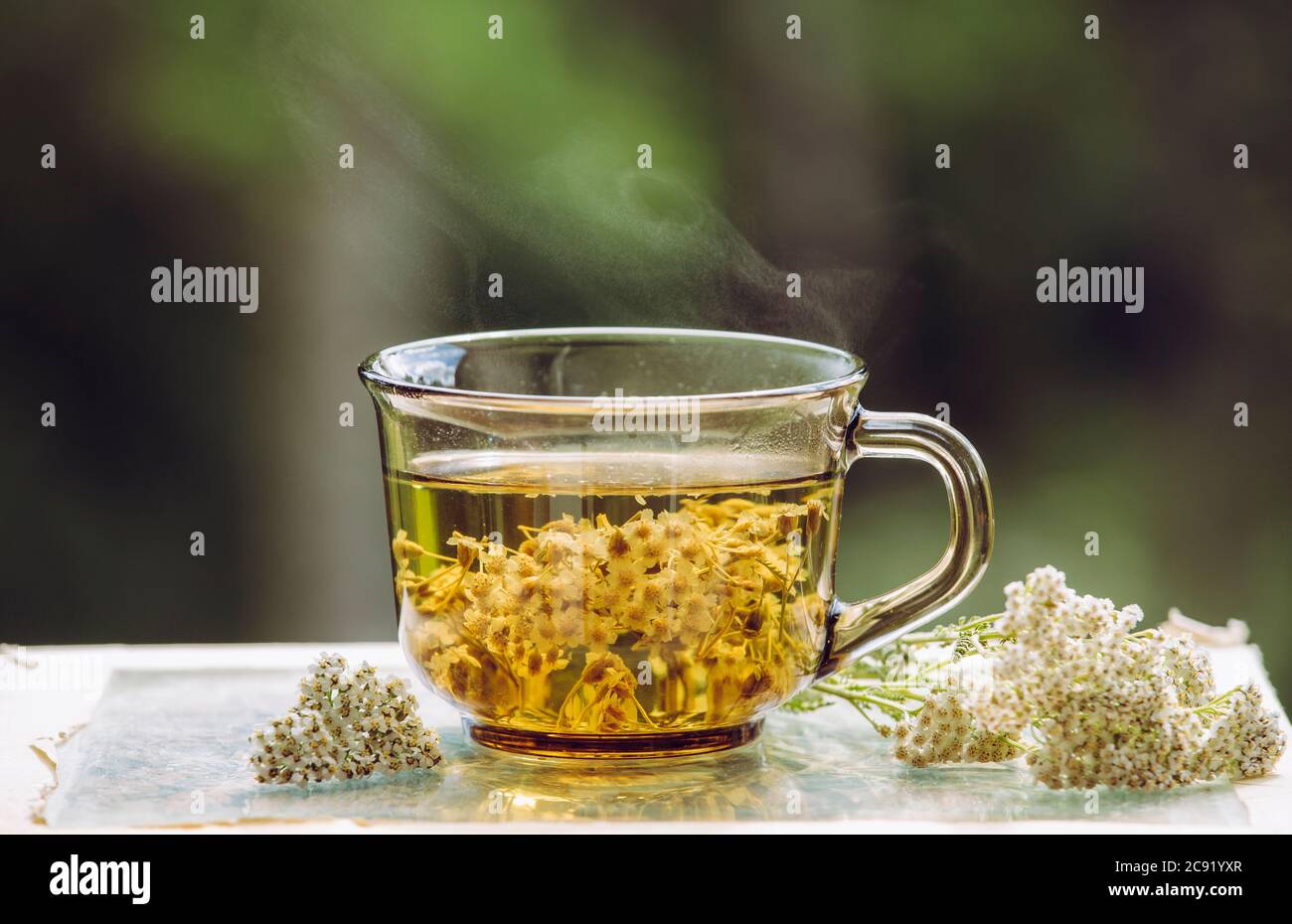 Still life of fumante Achillea millefolium, yarrow o comune yarrow tisana in vetro con tè secco in polvere e fiori freschi. Foto Stock