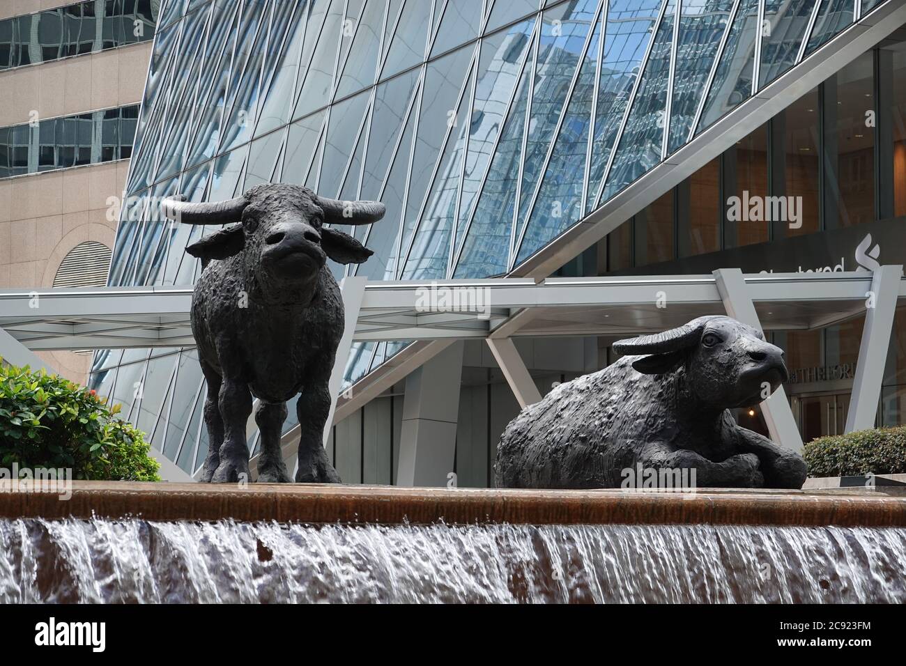 Sculture in bronzo bufalo d'acqua dello scultore inglese Elisabeth Frink. Simbolo della borsa di HK - Piazza dello scambio nel centro di ho Foto Stock
