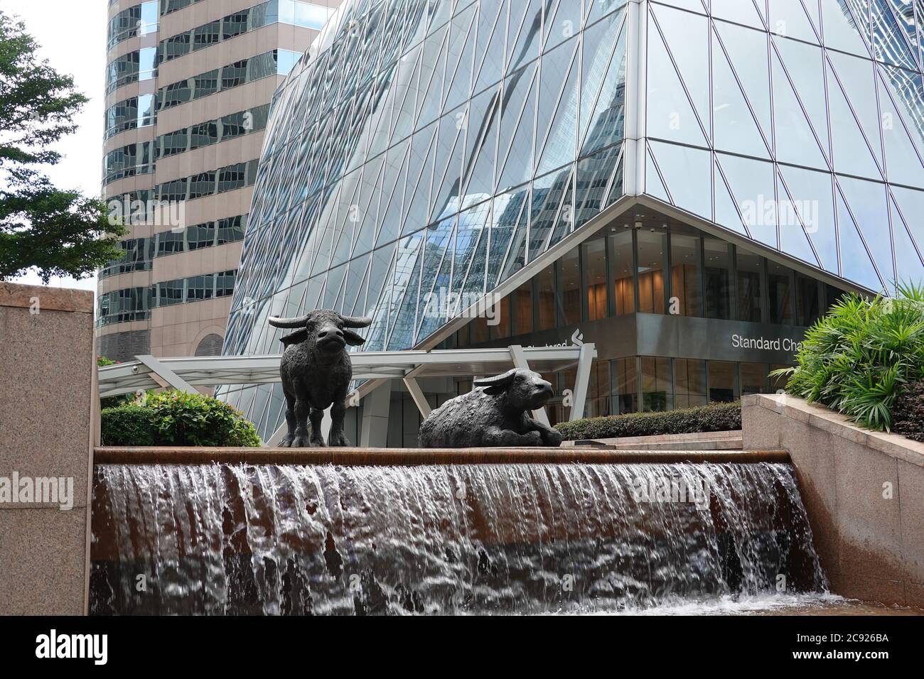 Tori al di fuori della borsa di Hong Kong, presso la piazza centrale di Hong Kong. Statua di bufalo d'acqua dello scultore inglese Elisabeth Frink Foto Stock