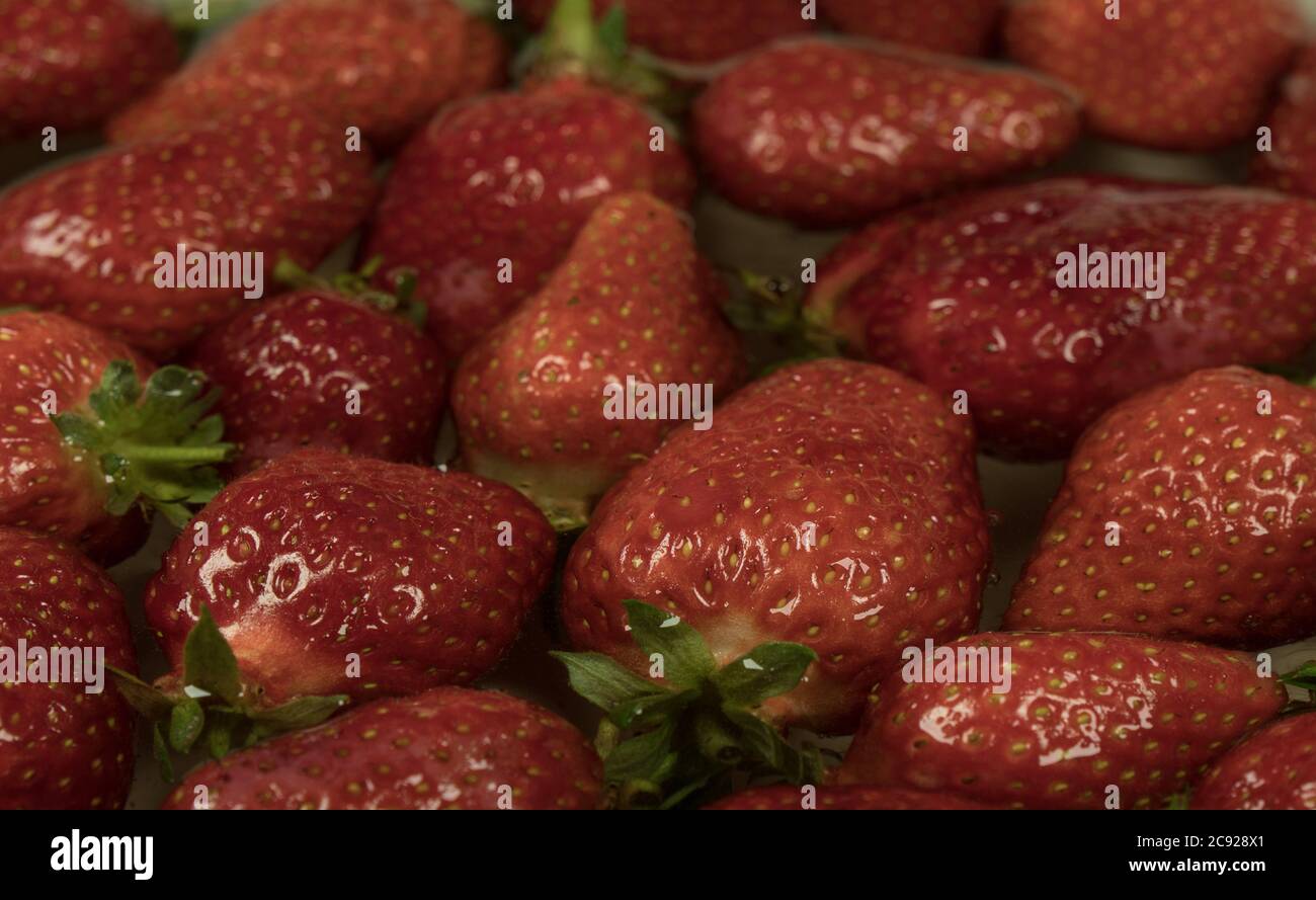 Fragole naturali fresche in acqua. Sfondo scuro Foto Stock