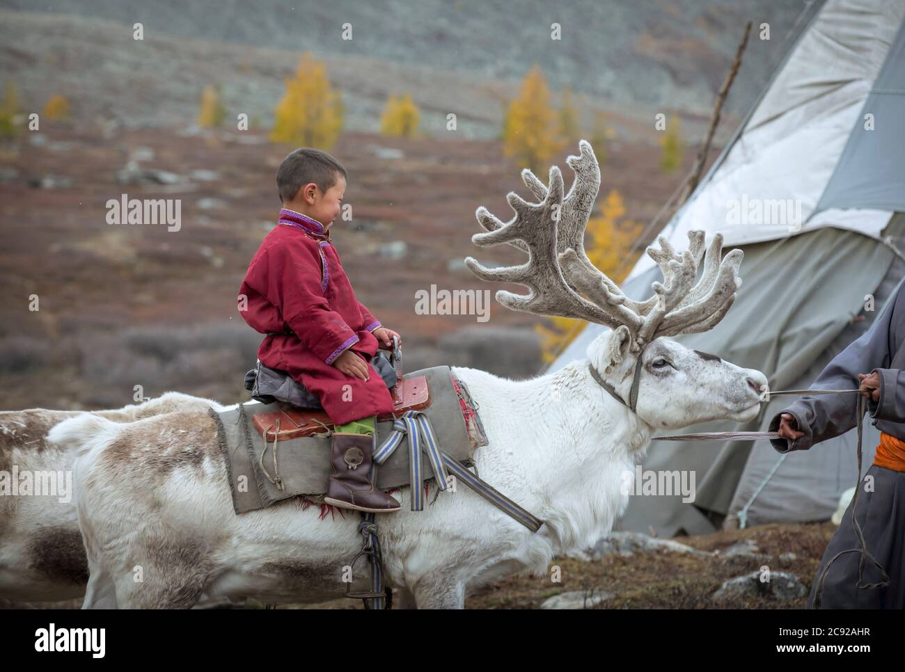 Giovane ragazzo tsaatan che cavalcava una renna nella Mongolia settentrionale Foto Stock