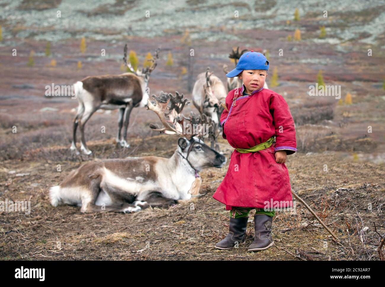 Giovane ragazzo tsaatan con renne nella Mongolia settentrionale Foto Stock