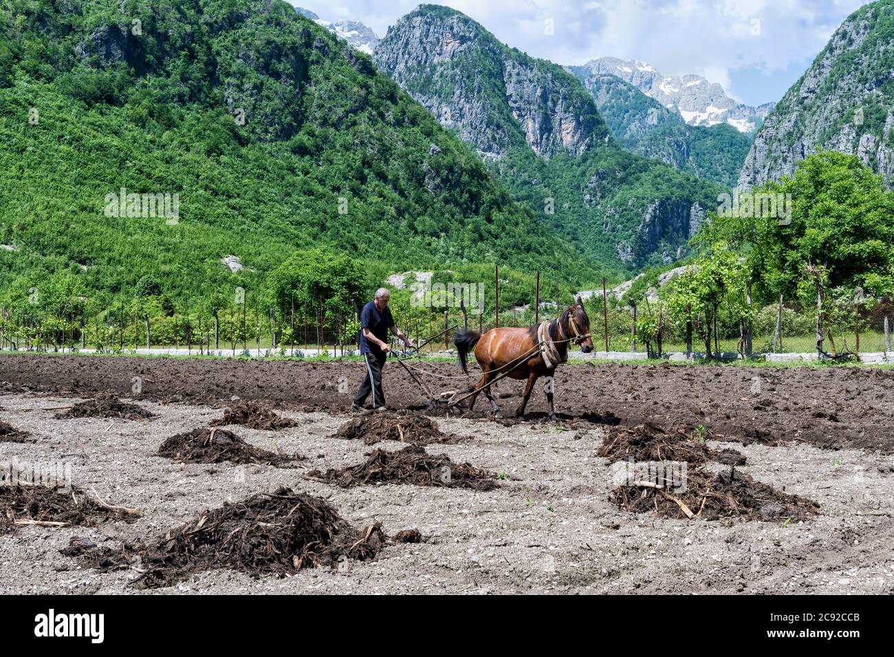 Agricoltore spargimento delle deiezioni animali sul suo campo con un cavallo, Thethi village, Thethi valley, Albania Foto Stock