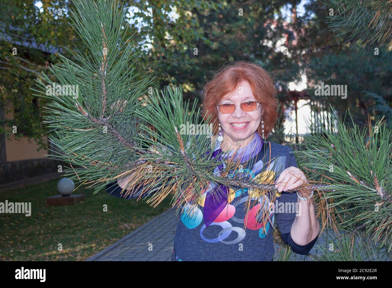 La donna matura in blusa colorata mantiene davanti a sé un ramo del pino Crimea con aghi lunghi Foto Stock