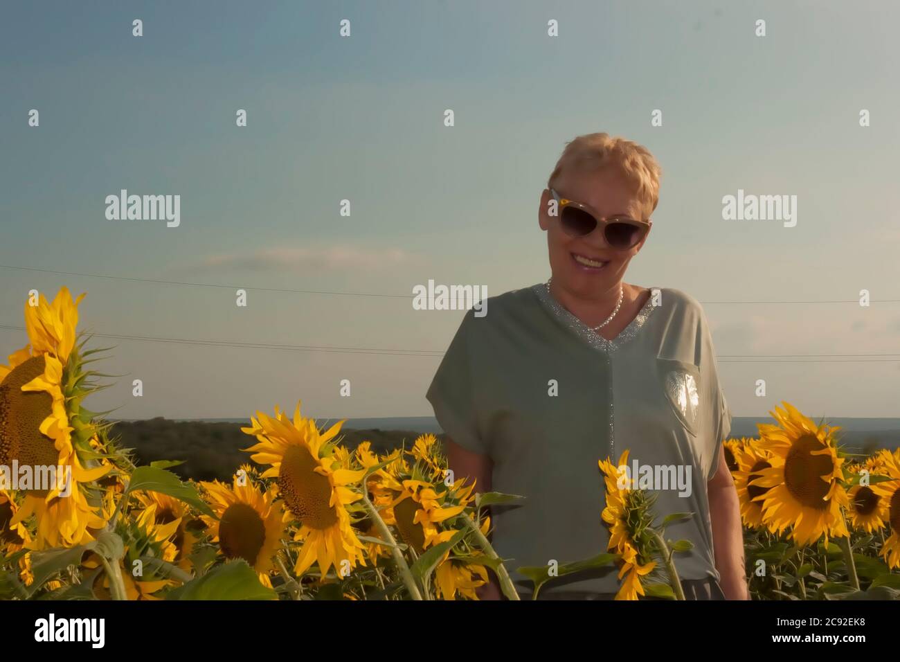 Ritratto di una donna matura in occhiali da sole su un campo con girasoli. Sorridente mentre si sta in piedi tra girasoli Foto Stock