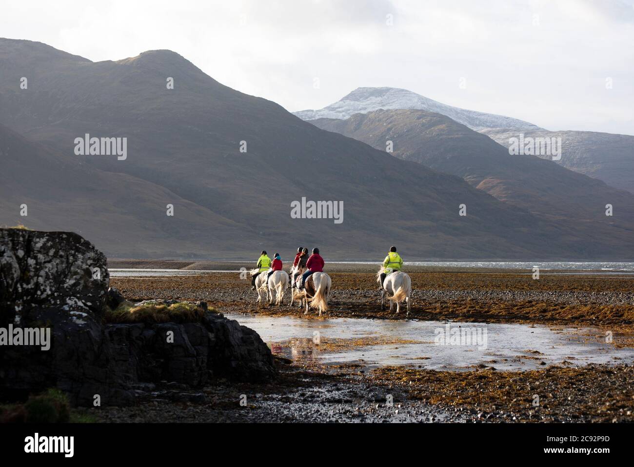 Pony trekking, Loch Na Keal, Killiechronan, l'Isola di Mull, Argyll e Bute, Scozia, Regno Unito. Foto Stock