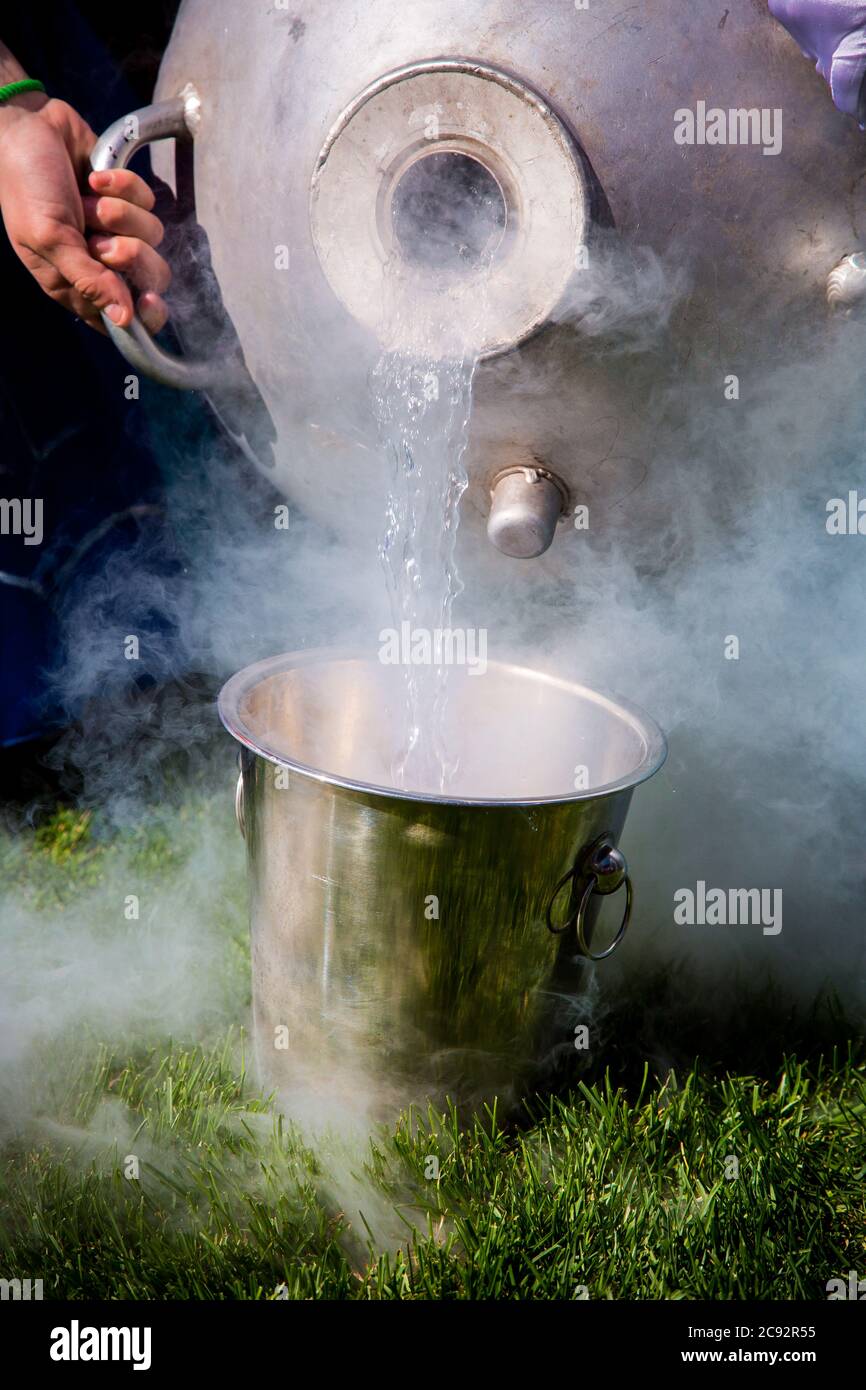 L'azoto liquido viene versato dalla capacità in un secchio che si trova su un'erba verde. Foto Stock
