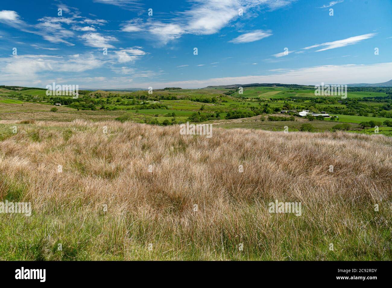 Vista della terra di accesso aperto, Stanley, Bowland-con-Leagram, Chipping, Preston, Lancashire. REGNO UNITO Foto Stock