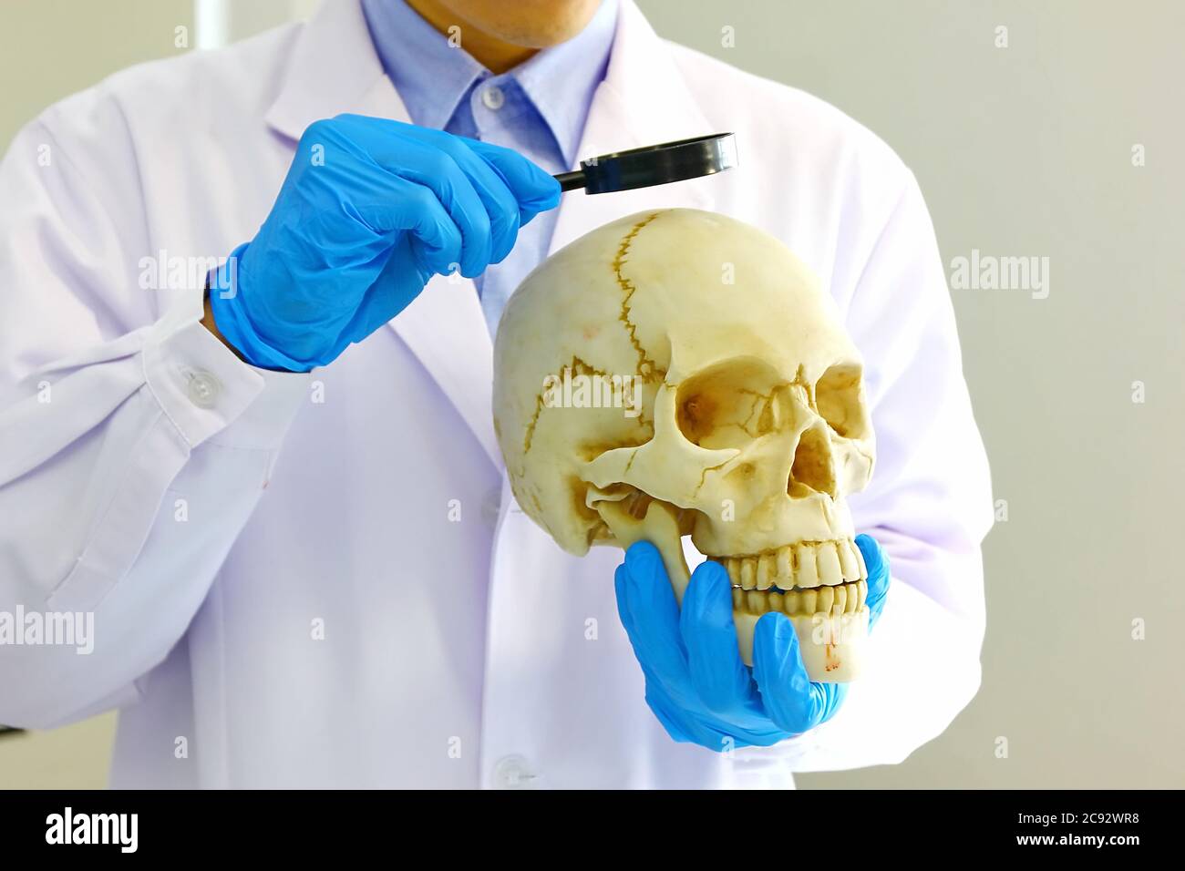 il ricercatore del cervello usa la lente d'ingrandimento per guardare il cranio nella mano sinistra. Foto Stock