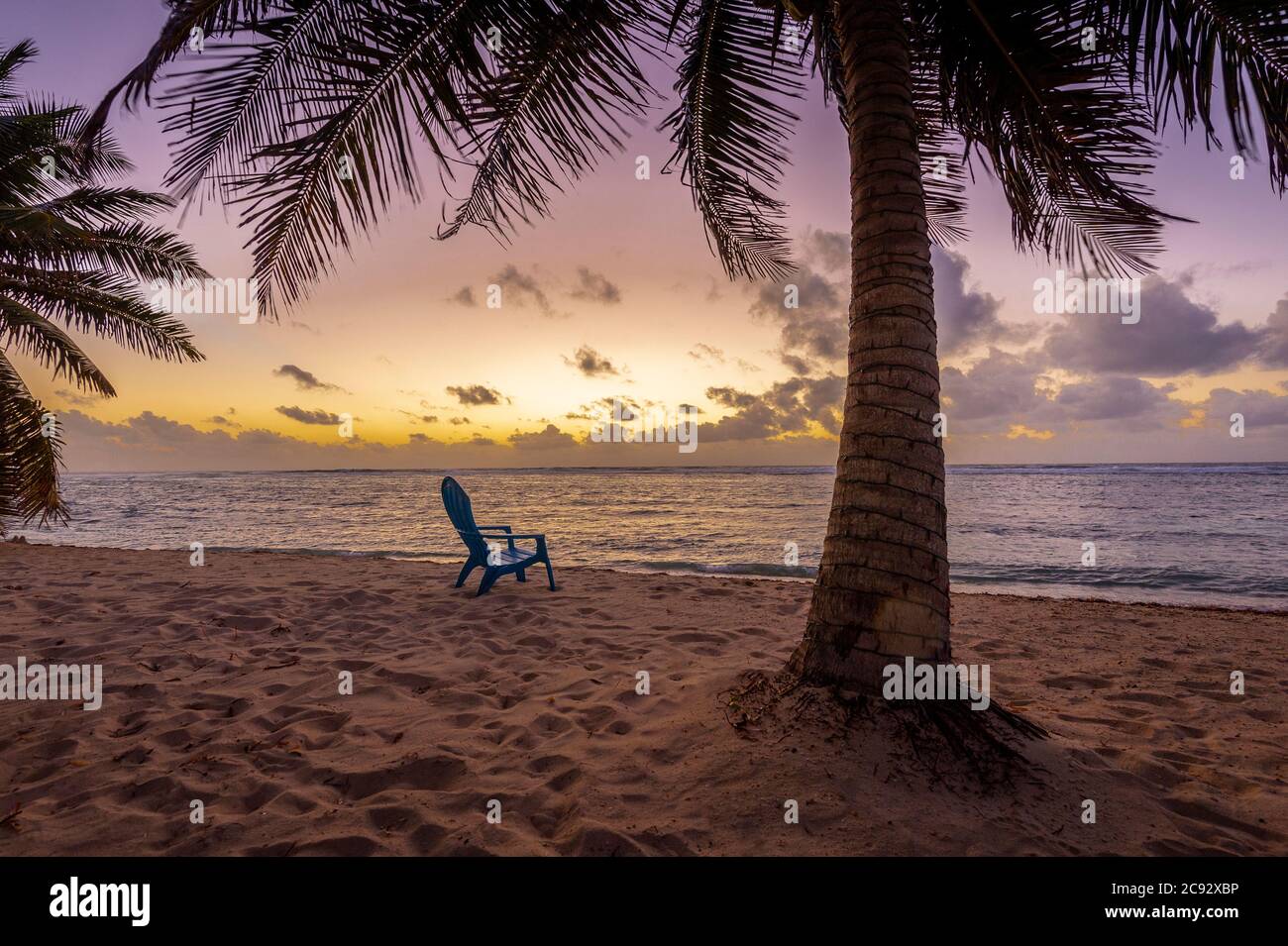 Sedia da spiaggia e palme Lone, Grand Cayman Island Foto Stock