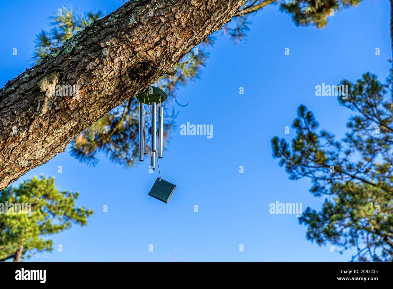 Tramandarsi nel tree wind chimes argento. Sfondo con messa a fuoco morbida. Foto di alta qualità. Foto Stock