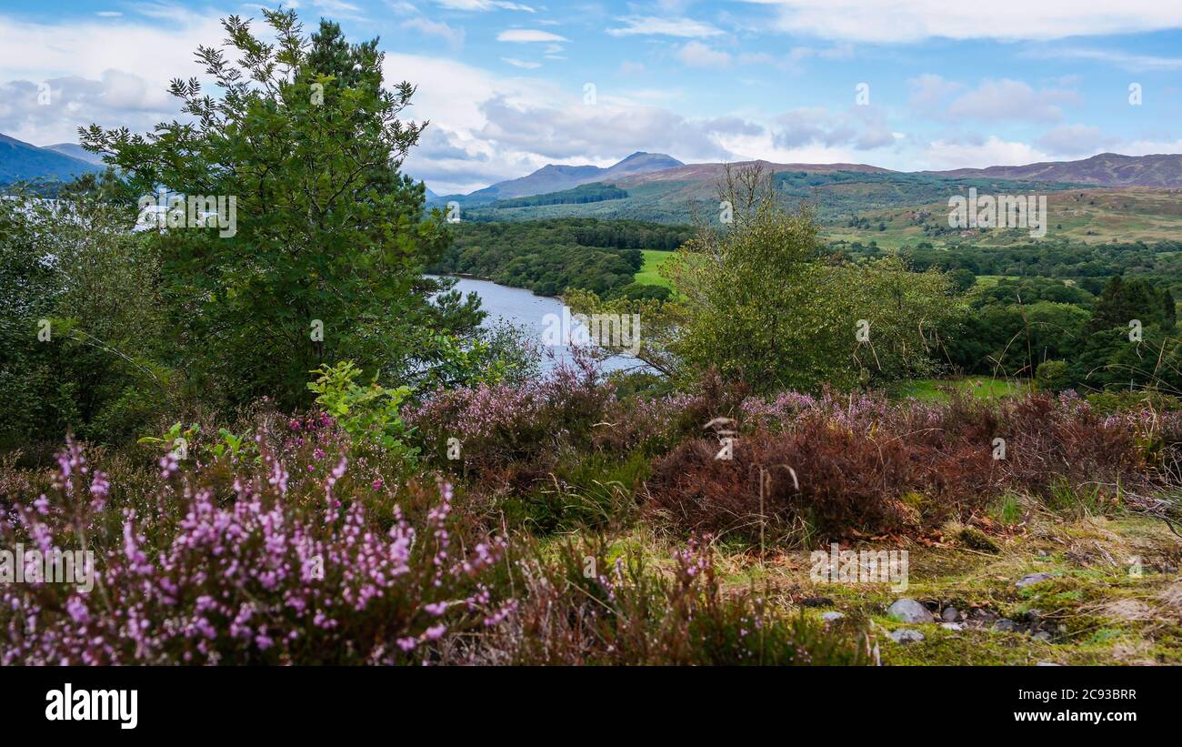 Paesaggio delle Highland a Loch Lomond Foto Stock