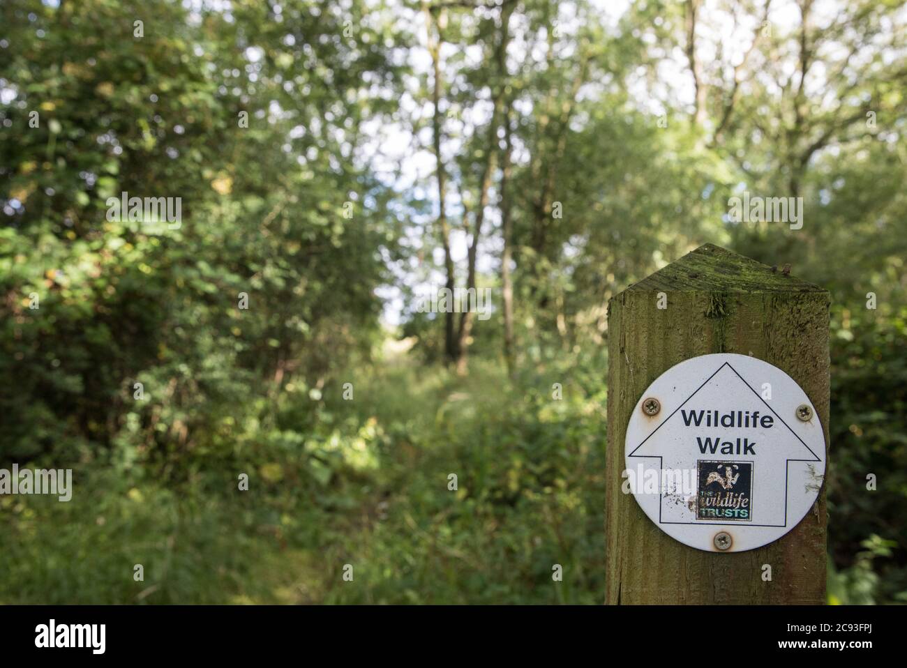 Calvert, Regno Unito. 27 luglio 2020. Un cartello indica una passeggiata nella riserva naturale del Giubileo di Calvert. Il 22 luglio, il Berks, Bucks e Oxon Wildlife Trust (BBOWT) hanno riferito di essere stati informati dell'intenzione di HS2 di prendere possesso di una parte della riserva naturale del Giubileo di Calvert, Che ospita la piovra, la terna da riproduzione e alcune delle farfalle più rari del Regno Unito, il 28 luglio scorso ha intrapreso lavori di sdoganamento non specificati in relazione al collegamento ferroviario ad alta velocità. Credit: Mark Kerrison/Alamy Live News Foto Stock