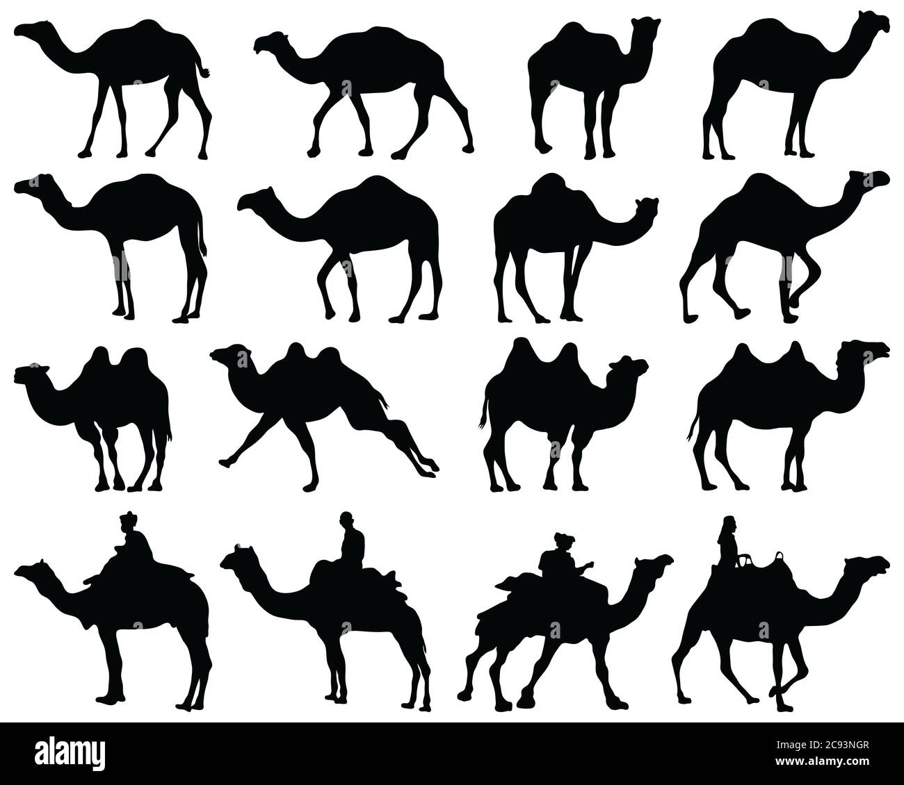 Silhouette nere di cammelli su sfondo bianco Foto Stock