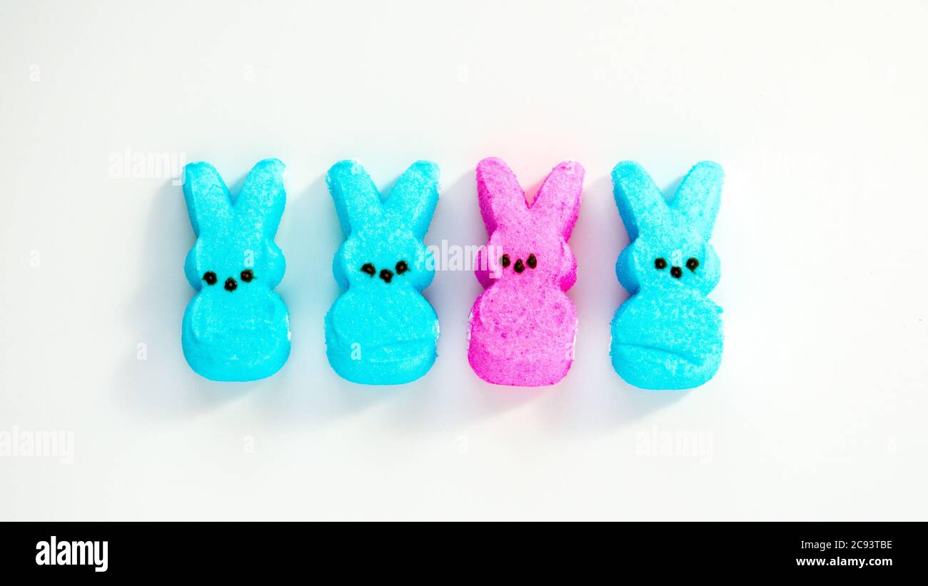 Diversity-quattro marshmallow Peps pasquali con tre lo stesso colore e uno un colore diverso, isolato su bianco Foto Stock