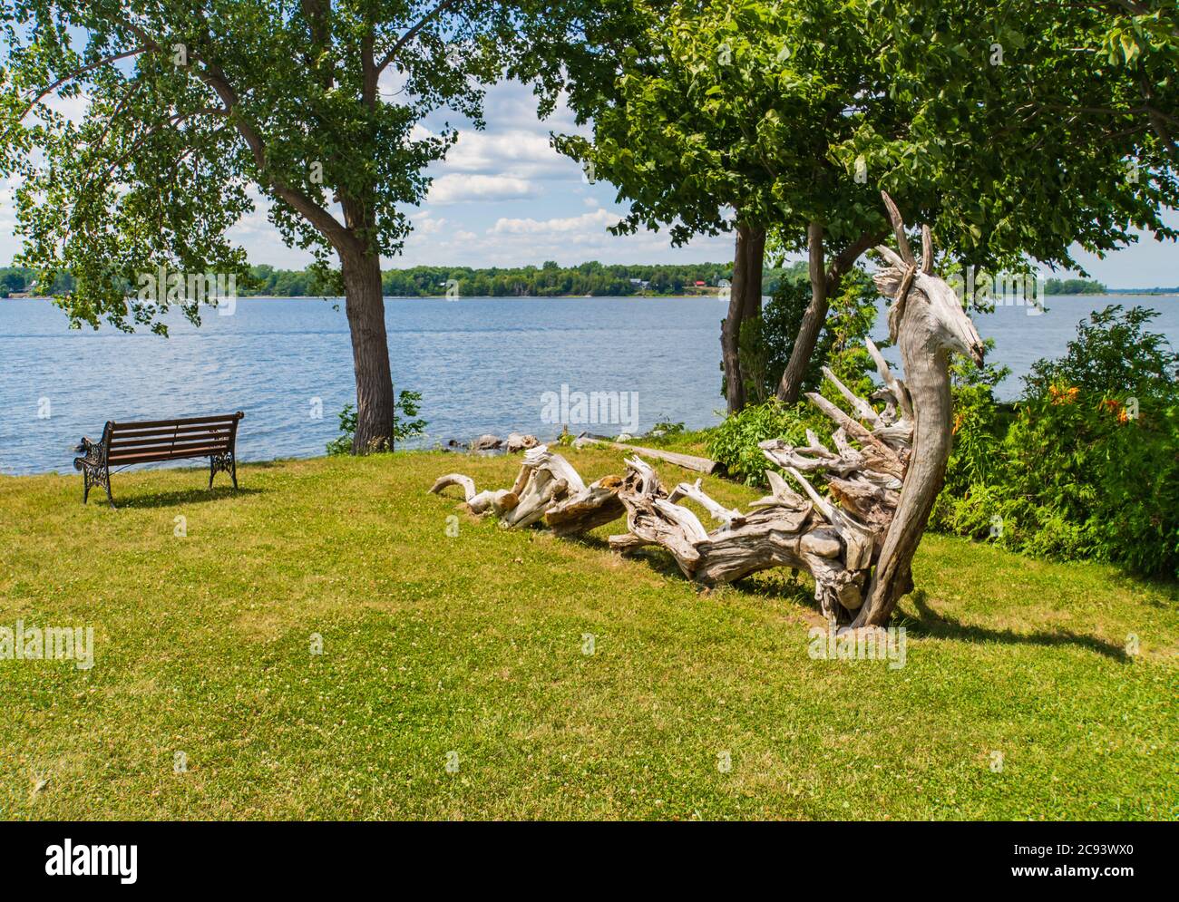 Il mitico 'Champ' o drago creato da drift legno proveniente dal lago Champlain in Vermont Foto Stock